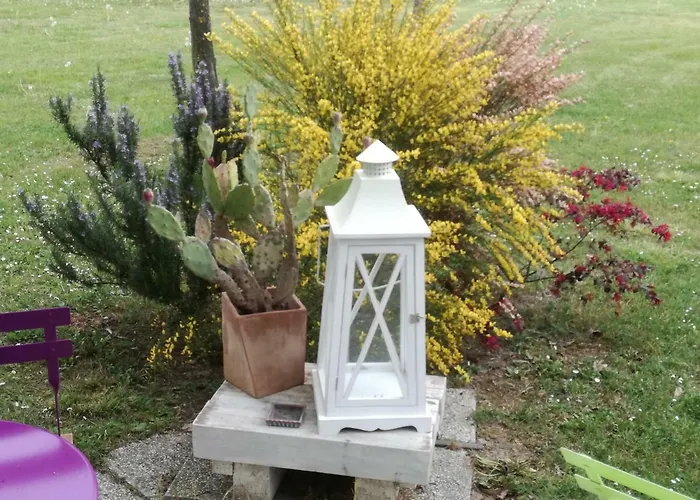 La Fenice Bed & Breakfast Carpi